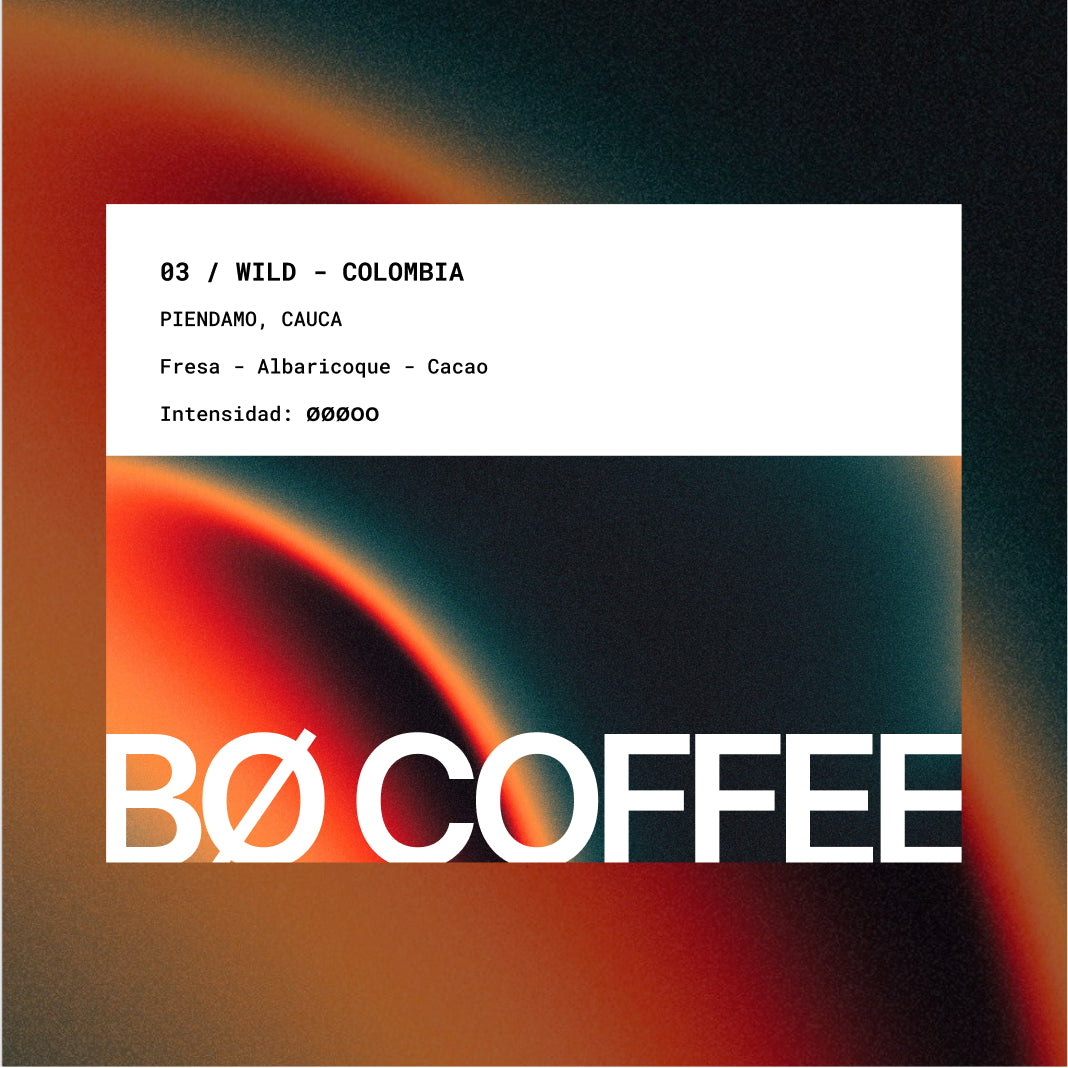 03 / COLOMBIA "WILTON"