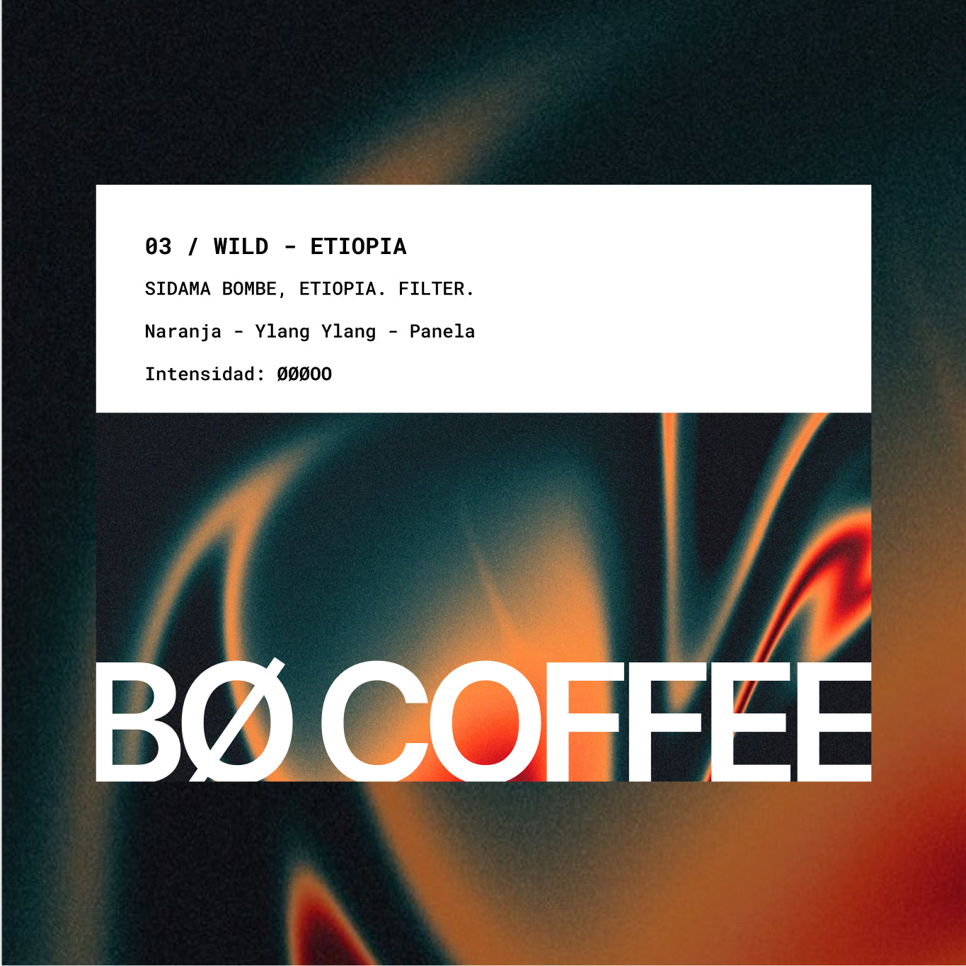 03 / ETIOPIA [FILTER]